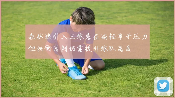 森林狼引入三球意在减轻华子压力但抗衡马刺仍需提升球队高度