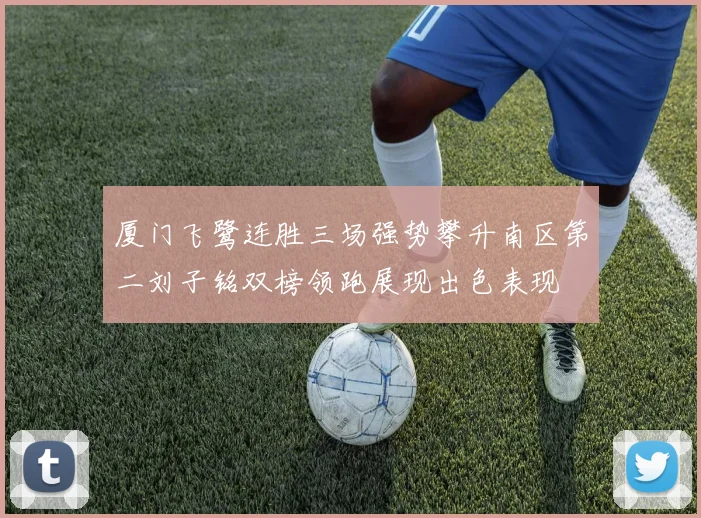 厦门飞鹭连胜三场强势攀升南区第二刘子铭双榜领跑展现出色表现